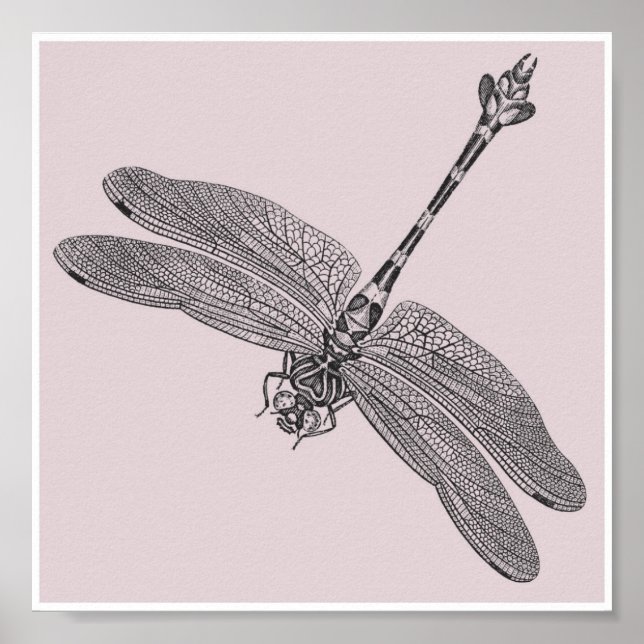 Dragonfly Poster (Vorne)