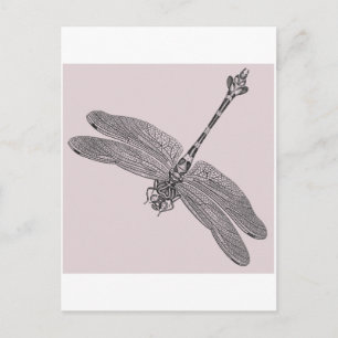 Dragonfly Postkarte