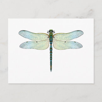 DragonFly Postkarte