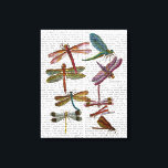 Dragonfly Print 4 Leinwanddruck<br><div class="desc">Tiere & Natur</div>