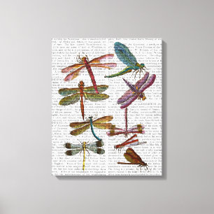 Dragonfly Print 4 Leinwanddruck