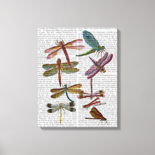 Dragonfly Print 4 Leinwanddruck (Vorderseite)