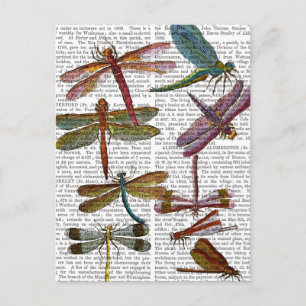 Dragonfly Print 4 Postkarte