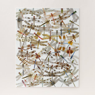 Dragonfly-Puzzle