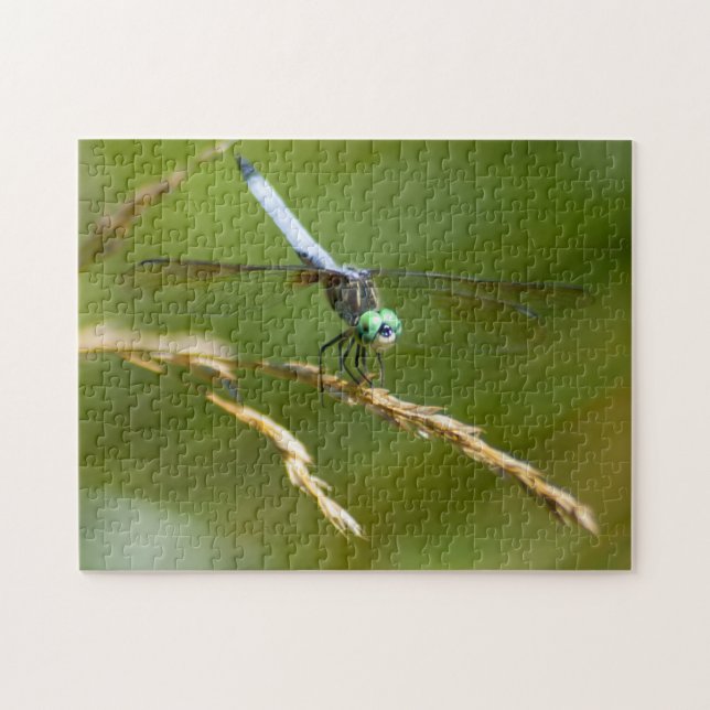 Dragonfly Puzzle (Horizontal)