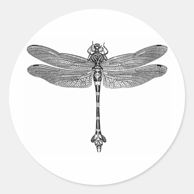 Dragonfly Runder Aufkleber (Vorderseite)