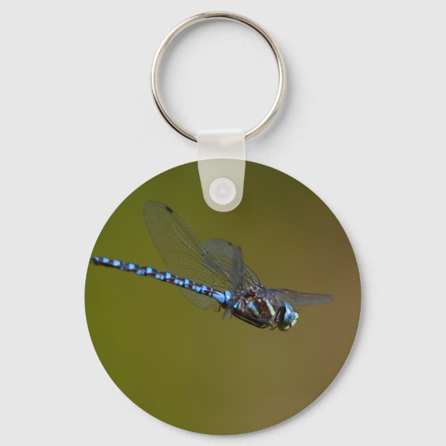 dragonfly schlüsselanhänger (Vorderseite)