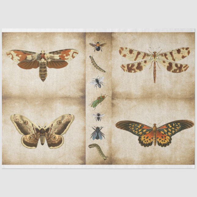 Dragonfly-Schmetterling-Mottendecoupage-Tissue Seidenpapier (Vorderseite)