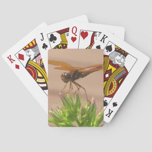 Dragonfly-Spielkarten Spielkarten (Rückseite)
