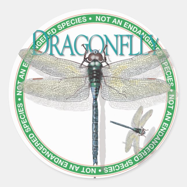 Dragonfly-Sticker Runder Aufkleber (Vorderseite)