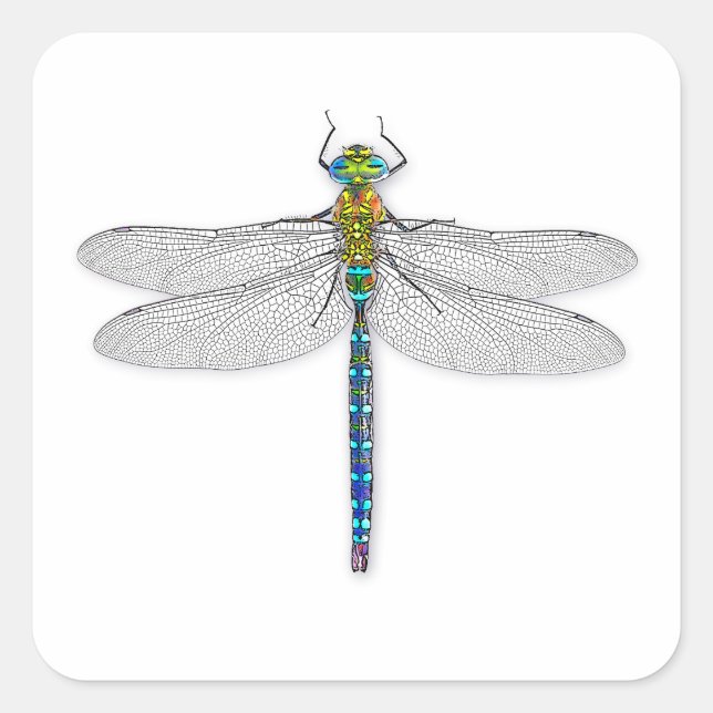 Dragonfly Stickers Labels Siegel (Vorderseite)