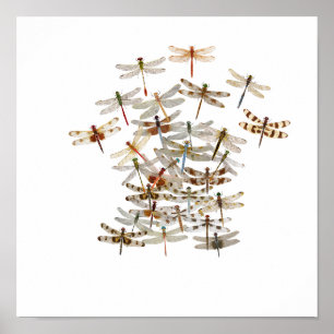 Dragonfly Swarm Poster