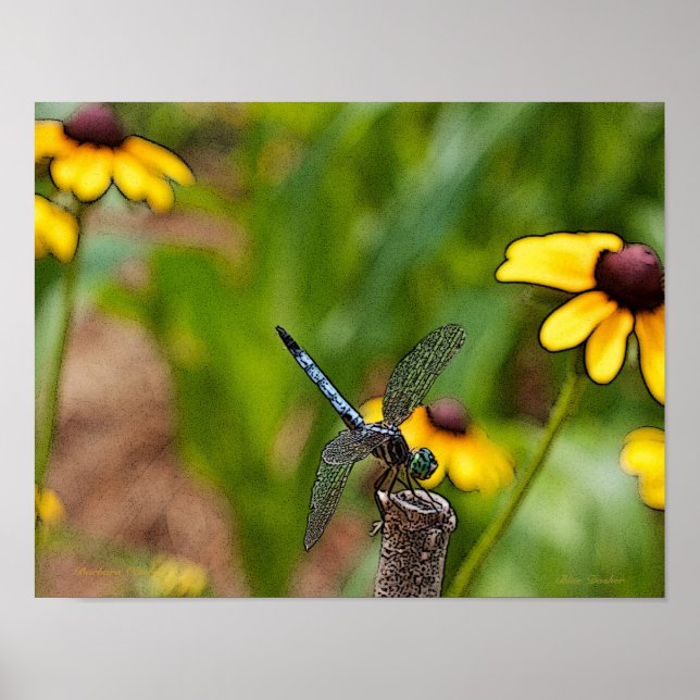 Dragonfly und Daisies Poster (Vorne)
