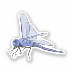 Dragonfly-Vektorgrafik Aufkleber