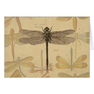 Dragonfly Vintag Antike klassische Natur