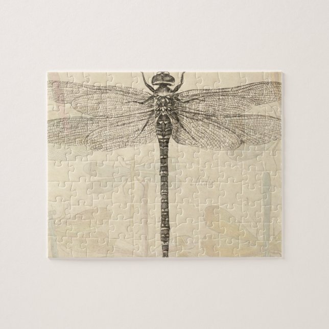 Dragonfly Vintag Antike klassische Natur (Horizontal)