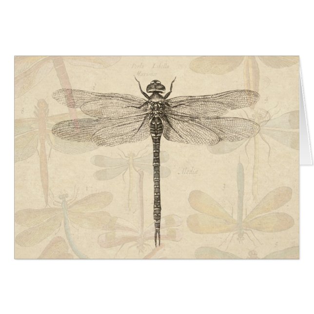 Dragonfly Vintag Antike klassische Natur (Vorderseite (Horizontal))