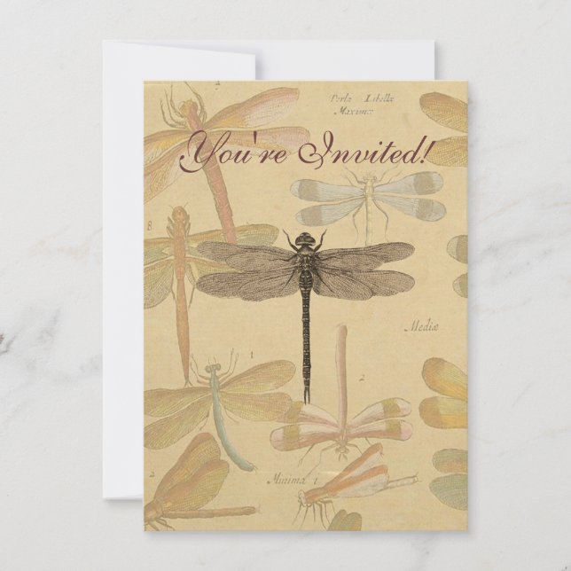 Dragonfly Vintag Antike klassische Natur Einladung (Vorderseite)