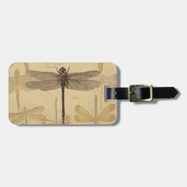 Dragonfly Vintag Antike klassische Natur Gepäckanhänger (Vorderseite horizontal)