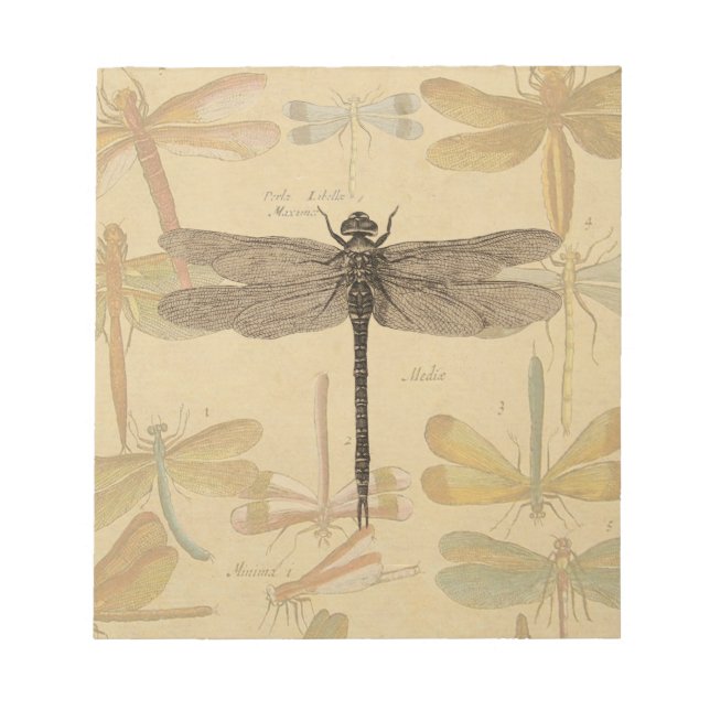 Dragonfly Vintag Antike klassische Natur Notizblock (Vorderseite)