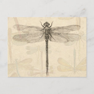 Dragonfly Vintag Antike klassische Natur Postkarte