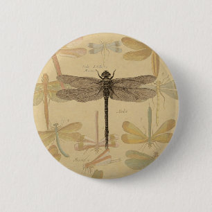 Dragonfly Vintag Antique Classic Zeichnend Button