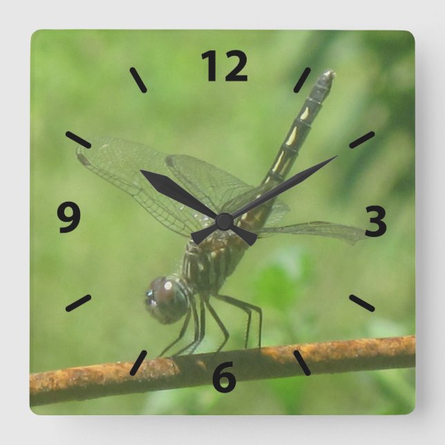 Dragonfly Wall Clock Quadratische Wanduhr (Vorderseite)