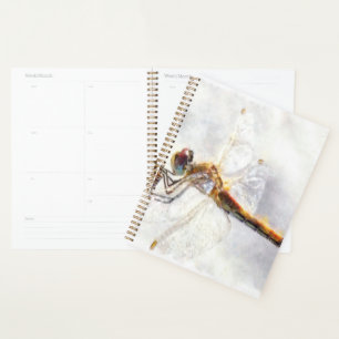 Dragonfly Watercolor Pastellweiß Hintergrund Planer