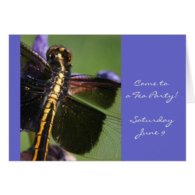 Dragonfly Wings (Vorderseite (Horizontal))