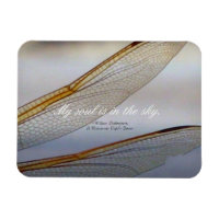Dragonfly Wings Macro mit Shakespeare Zitat