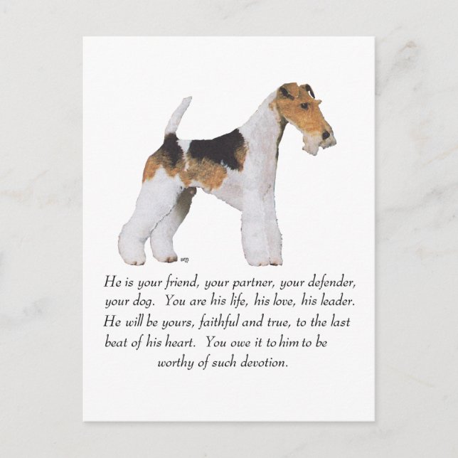 Draht Fox Terrier Gedenkseite / Widmung RÜDE Postkarte (Vorderseite)