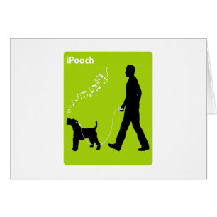 Draht-Foxterrier