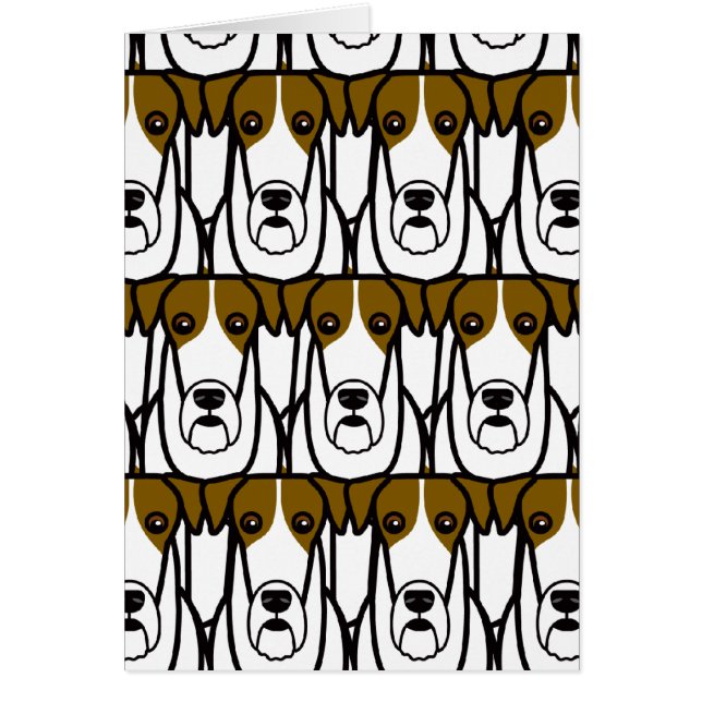 Draht-Foxterrier (Vorne)