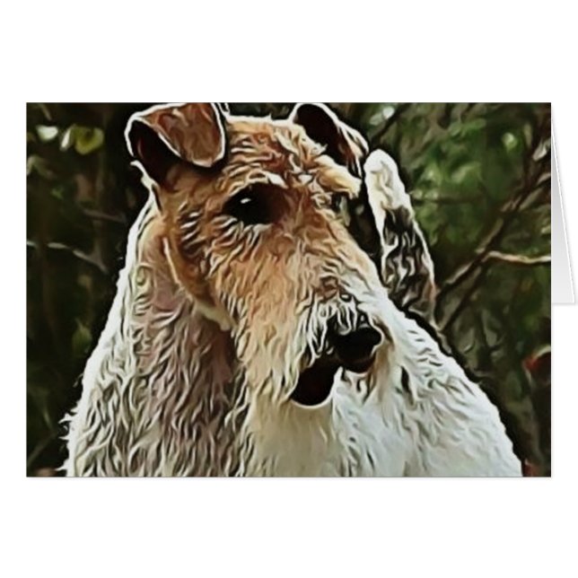 Draht-Foxterrier (Vorderseite (Horizontal))
