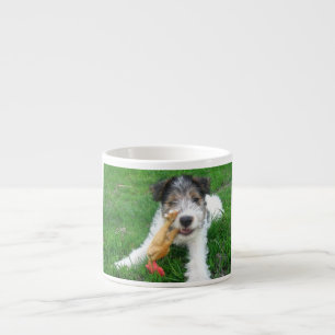 Draht-Foxterrier pup.png Espressotasse