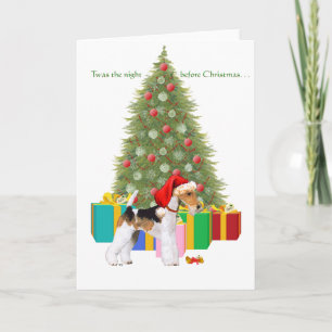 Draht-Foxterrier Weihnachten