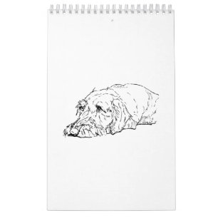 Drahthaar-Dachshund-Kalender 2027 Kalender