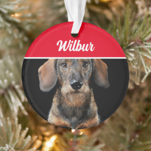 Drahthaar-Dachshund mit Namen und Foto Weihnachten Ornament
