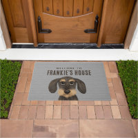 Drahthaar Dackel Hund | Niedlich Teckel Custom