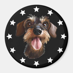 Drahthaar Dackel Stars Magnet