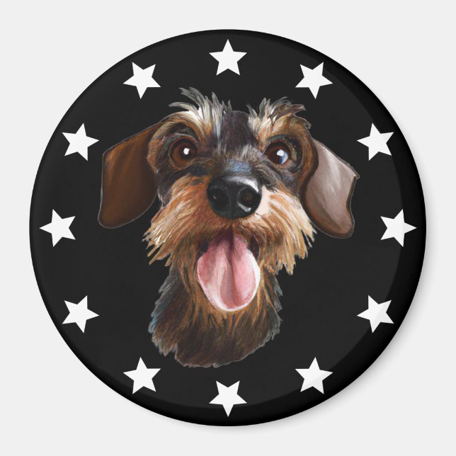 Drahthaar Dackel Stars Magnet (Vorne)