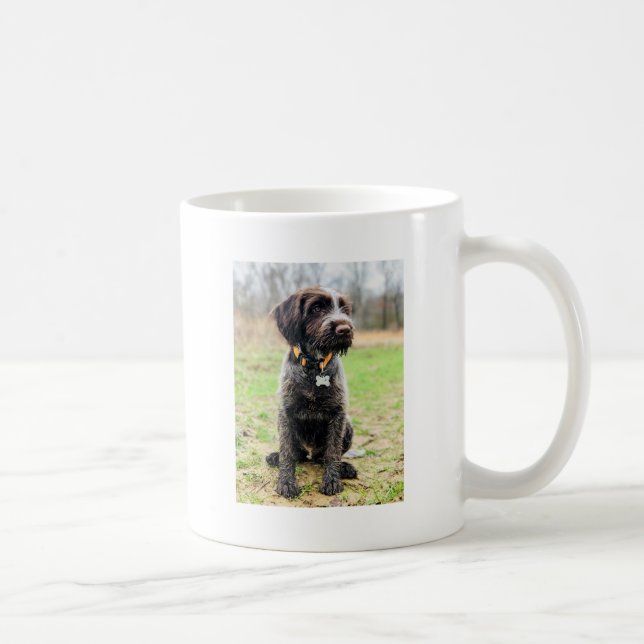Drahthaar, das Griffon Welpen zeigt Kaffeetasse (Rechts)