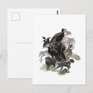 Drahthaar , Jagen im Freien Postkarte