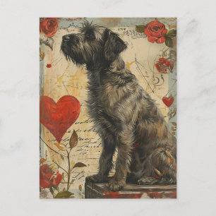 Drahthaar mit griffon Valentinstag Postkarte