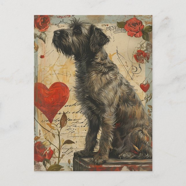 Drahthaar mit griffon Valentinstag Postkarte (Vorderseite)