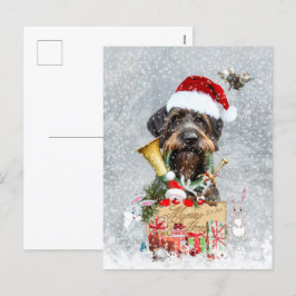 Drahthaar Pointer, Dog Weihnachten