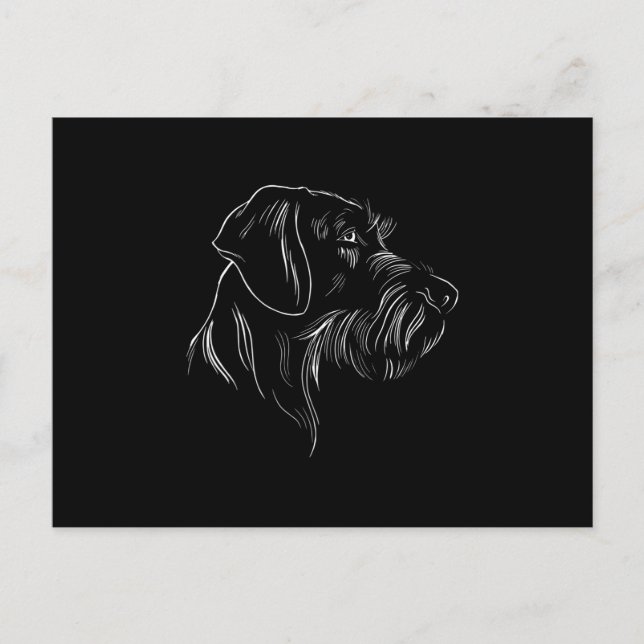 Drahthaar Pointer Postkarte (Vorderseite)
