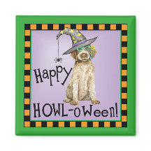 Drahthaar Pointing Griffon Hexe