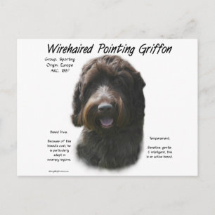 Drahthaar Pointing Griffon History Design Postkarte