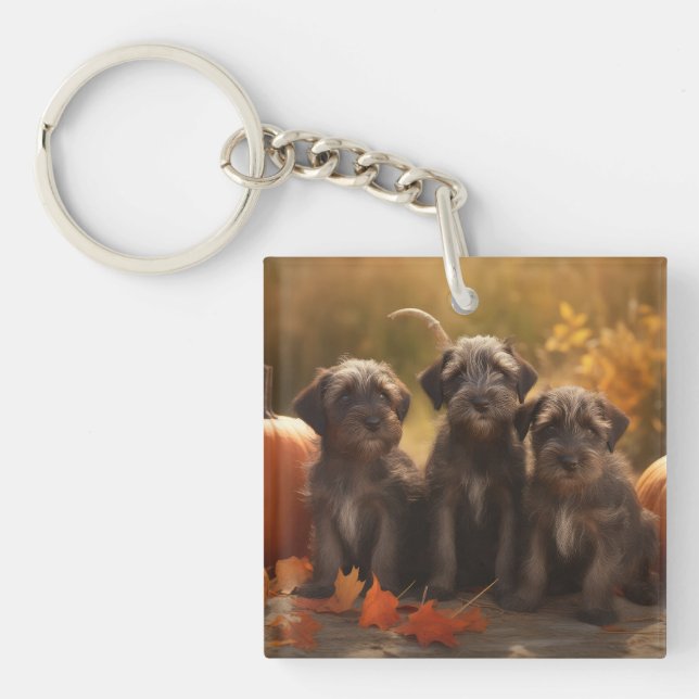 Drahthaar Pointing Griffon Puppy Herbst Schlüsselanhänger (Vorderseite)